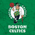 NBA Boston Celtics Green Primary Logo Moto E5 Play Skin